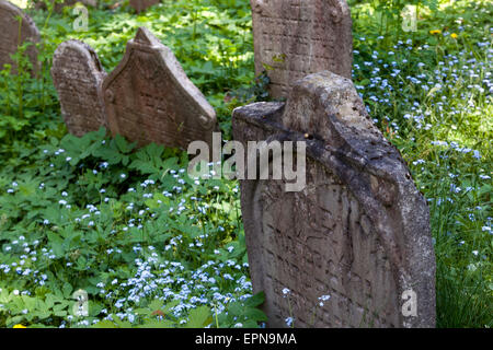 Vieux cimetière juif de Trebic, en Moravie, République tchèque. Patrimoine de l'UNESCO. Banque D'Images