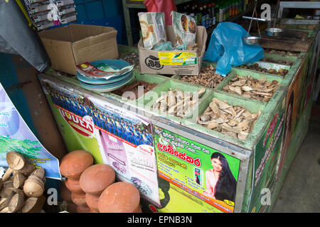 Plantes médicinales en vente en ville d'Haputale, district de Badulla, Province d'Uva, au Sri Lanka, en Asie Banque D'Images