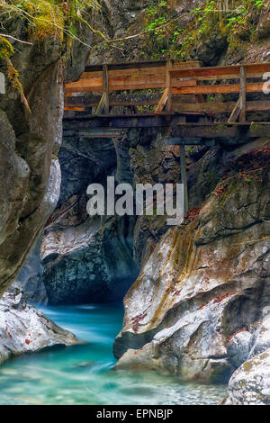 Promenade dans la gorge avec Seisenberg Weißbach stream, près de Lofer, District de Zell am See, Salzbourg, Autriche Etat Banque D'Images