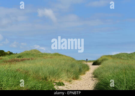 Chemin de sable à travers les dunes herbeuses sur la pointe est de l'île de Norderney, Frise orientale, Basse-Saxe, Allemagne Banque D'Images