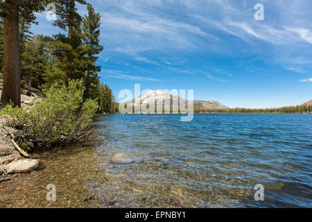 Mammoth Lakes, California, United States Banque D'Images