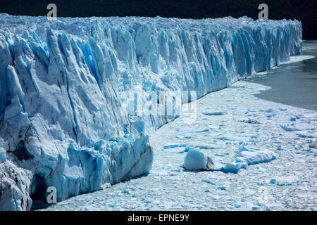 Le glacier Perito Moreno. Le Parc National Los Glaciares. La Patagonie. L'Argentine Banque D'Images