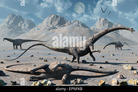 Le Diplodocus dinosaures pétrifiés. Banque D'Images