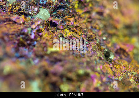 La chalcopyrite, il a la formule chimique (CuFeS2). Le sulfure de cuivre fer minéral. Macro. Beau fond fantastique de succe Banque D'Images