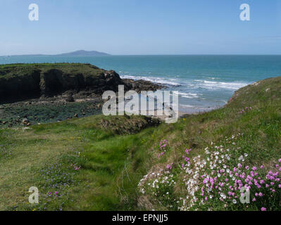 Vue vers le bas de la baie du chemin côtier de l'île d'Anglesey au nord du Pays de Galles UK belle journée mai calme ciel bleu météo Banque D'Images