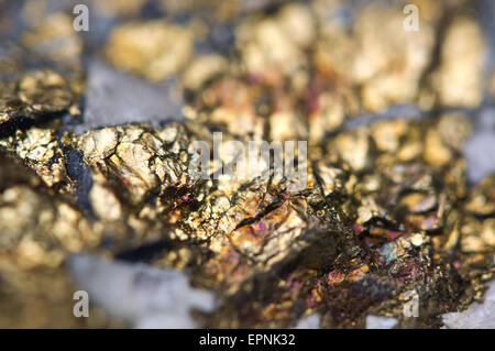 La chalcopyrite, il a la formule chimique (CuFeS2). Le sulfure de cuivre fer minéral. Macro. Beau fond fantastique de succe Banque D'Images