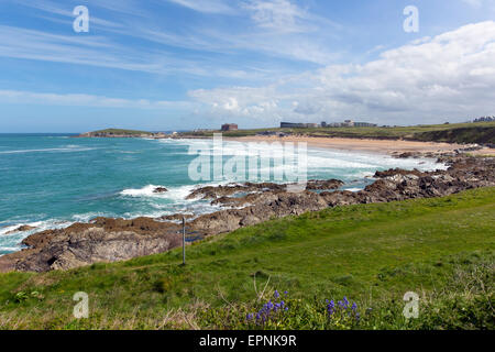 La plage de Fistral Newquay Cornwall Nord UK avec bluebells au printemps l'une des meilleures plages de surf au Royaume-Uni Banque D'Images