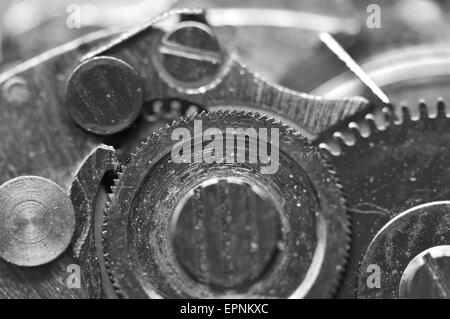 Black metal fond blanc avec des rouages d'une horlogerie. Macro. Banque D'Images
