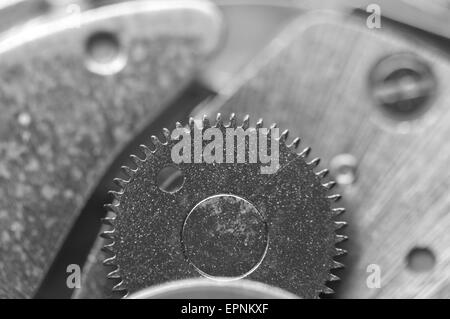 Black metal fond blanc avec des rouages d'une horlogerie. Macro. Banque D'Images