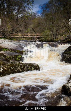 Un pont enjambe la chutes supérieures de l'Aira Beck, au-dessus de la Force, Aria de Ornans, Lake District, Cumbria Banque D'Images