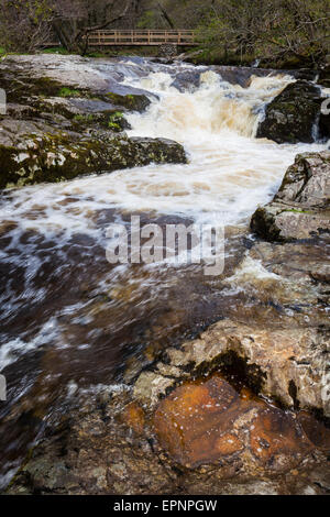 Un pont enjambe la chutes supérieures de l'Aira Beck, au-dessus de la Force, Aria de Ornans, Lake District, Cumbria Banque D'Images