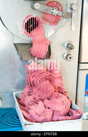 Berry ice cream faites dans le cadre d'un roulement industriel en acier inoxydable ou d'une machine d'être distribué dans un bac pour l'exposition et à la vente Banque D'Images