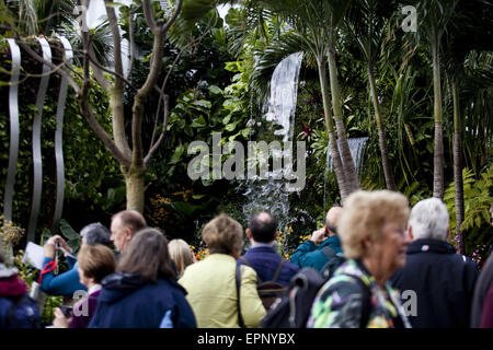 Londres, Royaume-Uni. 20 mai, 2015. Les visiteurs admirer ''la beauté cachée de Kranji'' garden par John Tan et Raymond Toh construit par Esmond Paysage et l'Horticulture Pte Ltd Singapour . La Chelsea Flower Show organisé par la Royal Horticultural Society (RHS) dans le parc du Royal Hospital Chelsea tous les mois de mai, est le plus célèbre flower show au Royaume-Uni, peut-être dans le monde. Il attire des exposants et des visiteurs de partout dans le monde, Londres, Royaume-Uni. Credit : Veronika Lukasova/ZUMA/Alamy Fil Live News Banque D'Images