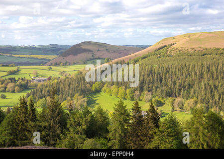 La fin de l'après-midi la lumière de l'Hergest Ridge sur la Hereford et d'autre de la frontière entre l'Angleterre et au Pays de Galles, Angleterre, RU Banque D'Images