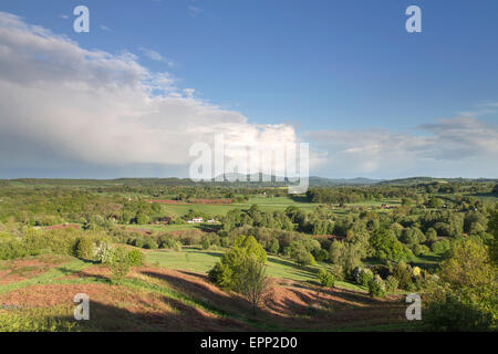 Commune de Malvern Hills Bringsty au printemps, Herefordshire, Angleterre, RU Banque D'Images