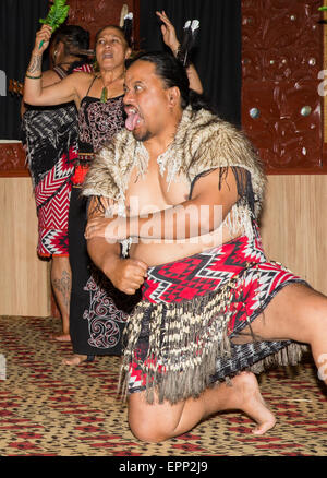 Tribal Maori dancers performing au Te Puia près de Rotorua en Nouvelle-Zélande, île du Nord Banque D'Images