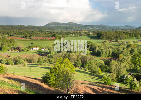 Commune de Malvern Hills Bringsty au printemps, Herefordshire, Angleterre, RU Banque D'Images