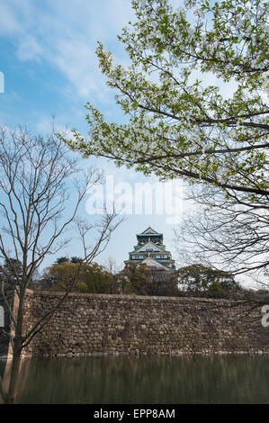 Le Château d'Osaka du Japon pendant la saison des cerisiers en fleur au printemps Banque D'Images