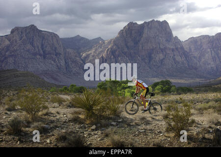 Un homme vélo de montagne sur les sentiers Cottonwood dans la Red Rock National Conservation Area. Banque D'Images