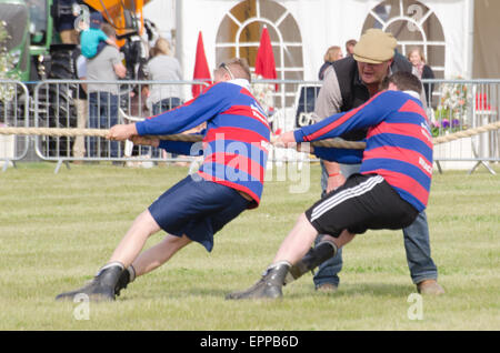 Concours de souque Essex Jeunes agriculteurs montrent le frêne et le Saffron Walden concurrentes de l'équipe de Mens Banque D'Images