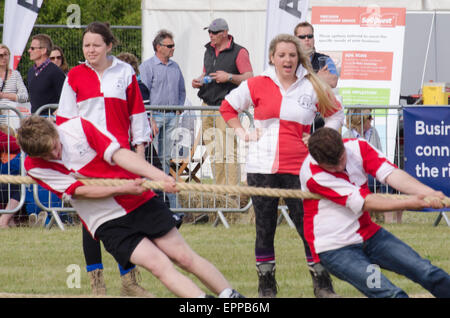 Concours de souque Essex Jeunes agriculteurs montrent Dunmow Mens concurrentes équipe Dunmow Mesdames regarder Banque D'Images