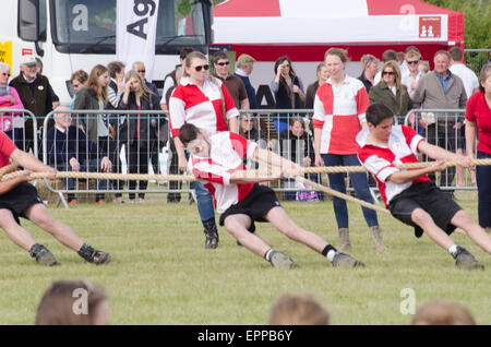 Concours de souque Essex Jeunes agriculteurs montrent Dunmow concurrentes de Mens Banque D'Images