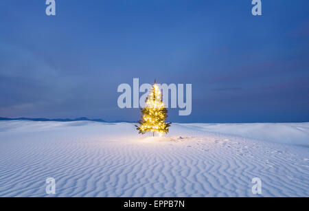 Un arbre de noël éclairé dans le parc national de White Sands Banque D'Images