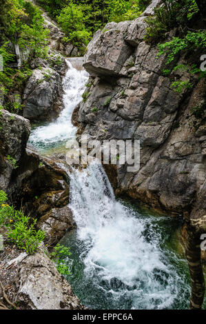 Cascade dans les montagnes Olympus, Grèce Banque D'Images