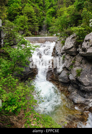 Cascade dans les montagnes Olympus, Grèce Banque D'Images