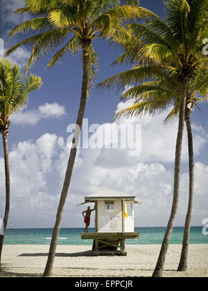 Lifeguard poster sous les palmiers Banque D'Images
