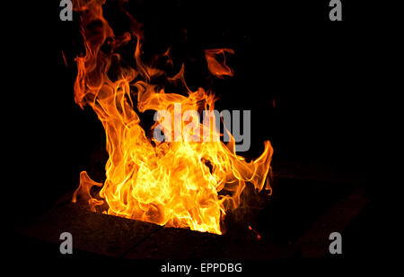 Feu avec conseils de flamme libre sur fond sombre Banque D'Images