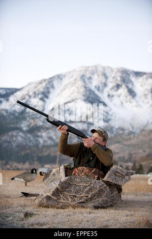 Un chasseur vise son fusil d'une blind alors que la chasse à l'oie de Carson City, NV. Banque D'Images