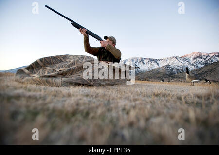 Un chasseur vise son fusil d'une blind alors que la chasse à l'oie de Carson City, NV. Banque D'Images