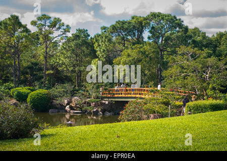 Florida Del Ray Musée Morikami Beach Park & Roji-En les jardins japonais de gouttes d'eau arbres lac rosée & pont jaune Banque D'Images