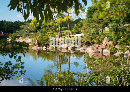 Floride , Del Ray Beach , Musée Morikami & Park , Roji-En , les jardins japonais de gouttes d'eau de rosée & arbres lac pont rouge Banque D'Images