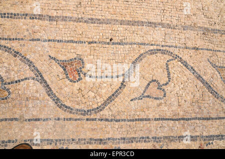 Israël, Bet Shean (Scythopolis). En 64 avant notre ère qu'il a été pris par les romains, reconstruit, et la capitale de la Décapole, les "Dix Banque D'Images