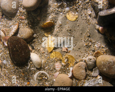 Les plongeurs découvrent un trésor de 2000 pièces d'or de la période fatimide (xie siècle) dans l'ancien port de Césarée Banque D'Images