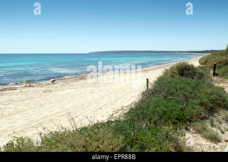 Formentera, une plage avec la mer turquoise en Méditerranée îles baléares Banque D'Images