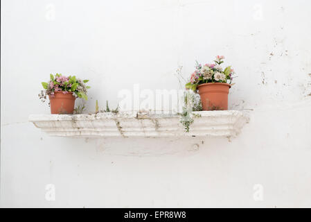 Pot de fleurs avec des fleurs artificielles sur un rebord d'un mur blanchi à la chaux Banque D'Images