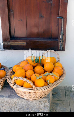 Panier avec des oranges sur une pierre l'étape Banque D'Images