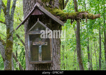 Le Centenaire en bois ancienne crucifixion du Christ est suspendu à un arbre dans le bois de chêne. Art au point sélective. Cent ans détruits Banque D'Images