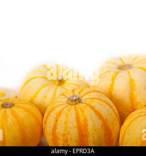 Tas de citrouilles jaune frais seulement recueillies auprès de jardin Banque D'Images