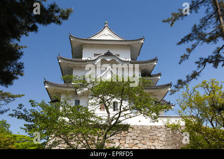 L'original château de Ninja Iga Ueno aussi connu sous le nom de "Hakuho' ou Blanc Château Phoenix Banque D'Images