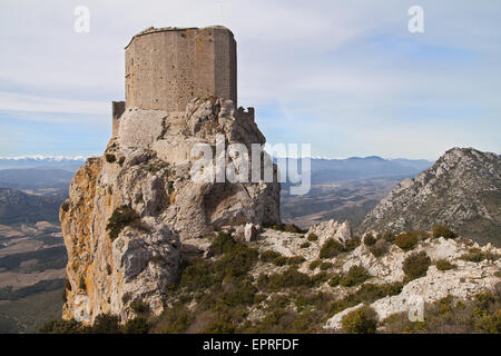 Château de Quéribus, Aude, Languedoc-Roussillon, France. Banque D'Images