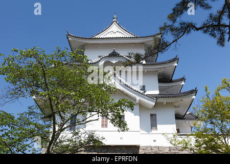 L'original château de Ninja Iga Ueno aussi connu sous le nom de "Hakuho' ou Blanc Château Phoenix Banque D'Images