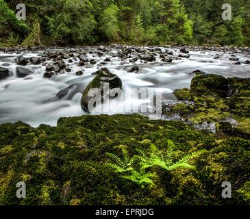 Peu d'embranchement nord de la rivière Santiam dans Fishermen's Bend recreation site près de Mill City, Oregon. Banque D'Images