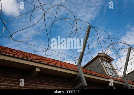 Détail de barbelés de la prison Musée à Veenhuizen aux Pays-Bas Banque D'Images