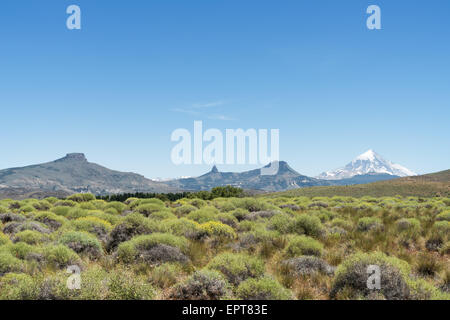 Volcan Lanin, sur la frontière argentine / Chili Banque D'Images