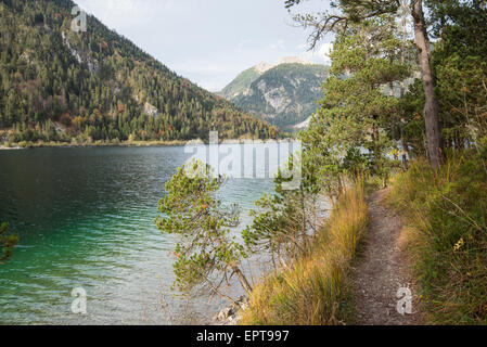 Paysage d'un sentier à côté d'un lac clair en automne, Plansee, Tirol, Autriche Banque D'Images