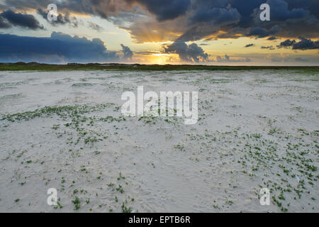 Paysage de dunes au lever du soleil, à l'Est, l'été, l'île de Norderney, Frise orientale, mer du Nord, Basse-Saxe, Allemagne Banque D'Images